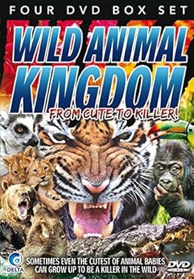 Wild animal kingdom from cute - wild,