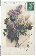 AUWP4-0246-FIORI - Bouquet Di