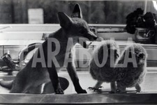 Foto vintage Regno Unito