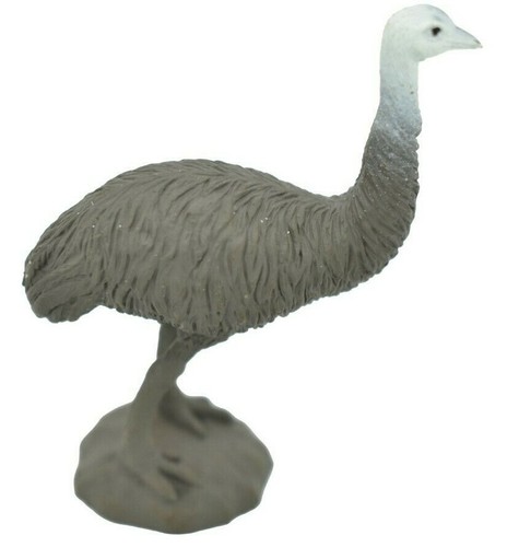Emu australian bird - australian,
