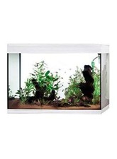 Askoll Aa350073 Acquario Pure