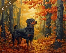 Beauceron dog painting in a
