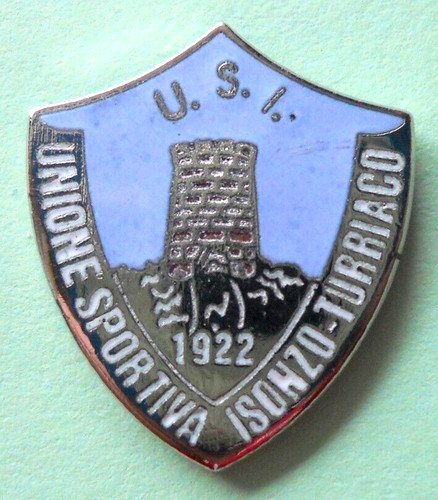 Distintivo spilla pin - spilla,