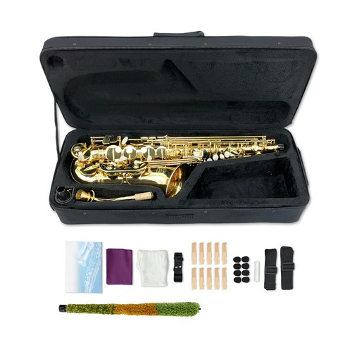 Deal gold alto sax set - #deal,