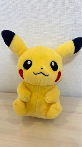 Pokemon center fit pikachu - pokemon,