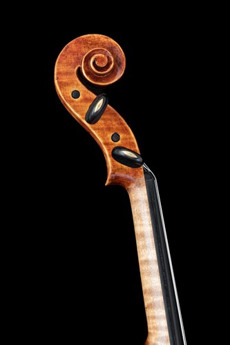 Old violin stefano conia - violin, by