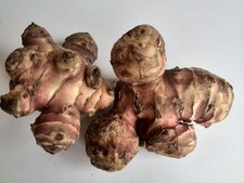 Topinambur Carciofo Di Gerusalemme 5kg