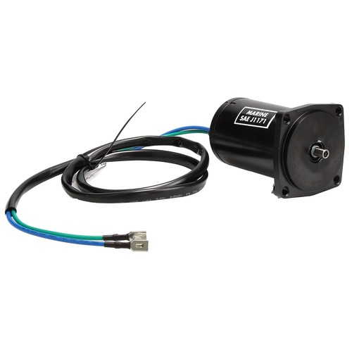 Motore fuoribordo evinrude - fuoribordo,