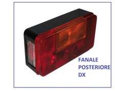 FANALE POSTERIORE DX 5