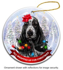 All Wrapped Up Ornament - Blue