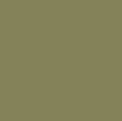 Prl leaf olive - leaf, verde