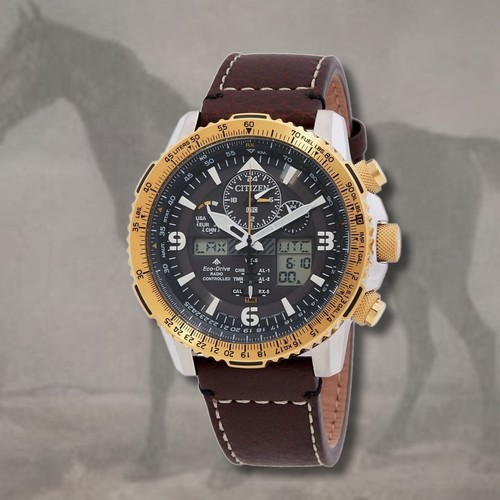 Cronografo citizen promaster - cronografo,