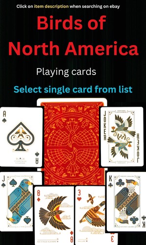 Birds north america single - of,
