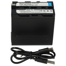 Batteria per Sony AX2000E