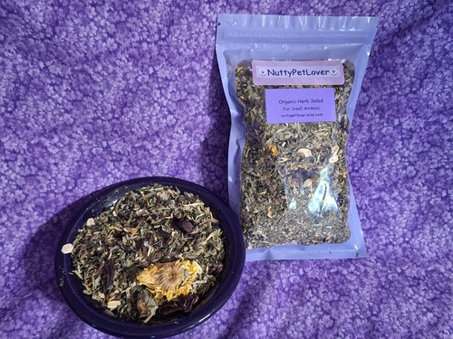 Insalata erbe biologiche - insalata,