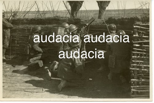 Prima guerra mondiale arditi - guerra,