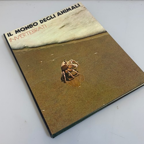 Invertebrati il mondo - n., 12