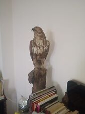 animali impagliati vintage in