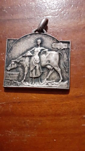 Antica medaglia argento belgio - medaglia,