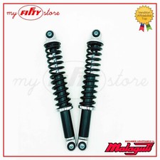 Coppia ammortizzatori