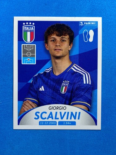 Panini euro 2024 deutschland - panini,
