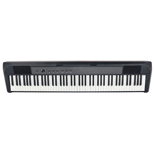 Echord dp1 pianoforte digitale - dp1,