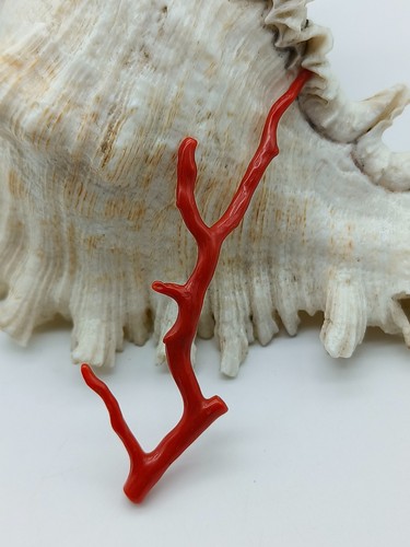 Bastone lucido corallo