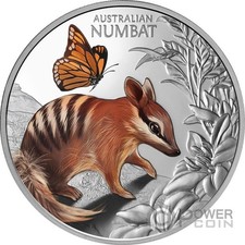 BABY NUMBAT simpatica e coccolosa moneta d'argento da 1 oz 1 $ Niue 2025