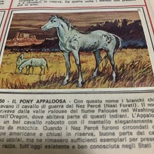 FIGURINA N.350 LA VERA  STORIA