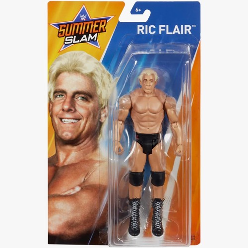 Wwe ric flair special - wwe, summer