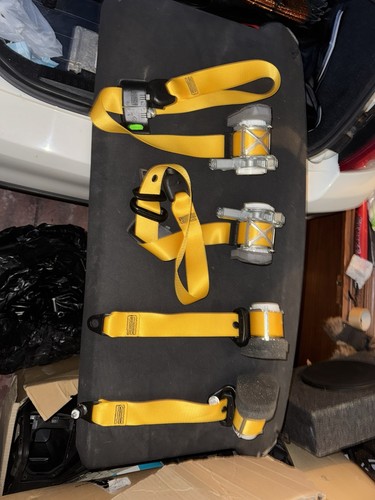 Cinture sicurezza gialle - cinture,