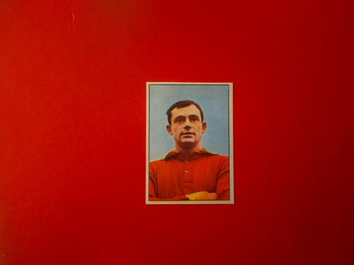 Salvori bis album figurine - ,