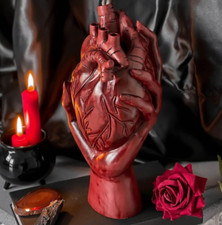 10 in resina anatomica cuore