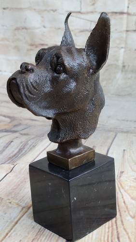 Boxer tedesco inglese bulldog - inglese,