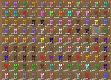 Isole Cavalli Selvaggi 🌸