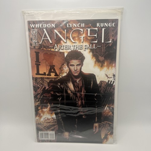 Angel after the fall - after, #9