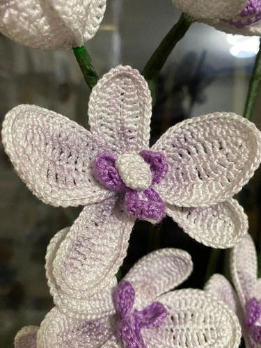 Orchidea uncinetto - orchidea, ad