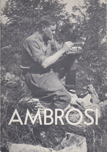 Elmo ambrosi quarant anni - quarant'anni, di