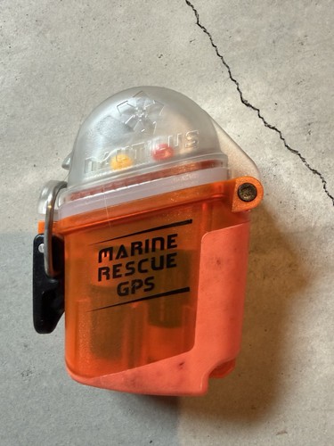 Nautilus lifeline marine - nautilus,