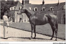 AGKP9-0777-61 - HARAS DU PIN -