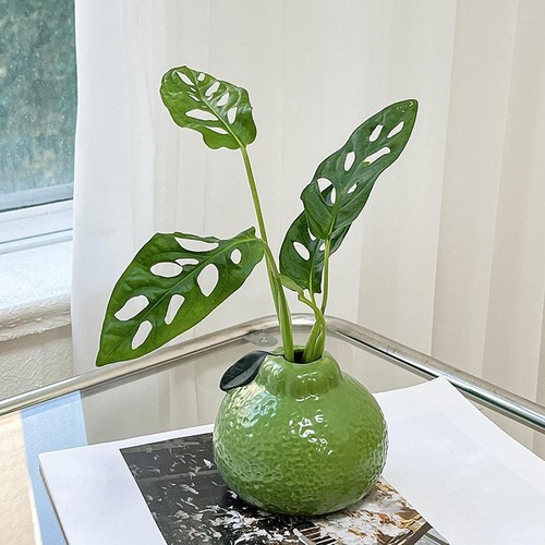 Vaso per fiori arancione - , a