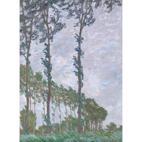 Niik quadro filare pioppi - quadro,
