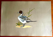 ROBERTO LEMMI - STAMPA