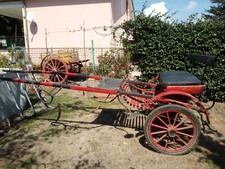 calesse per cavalli