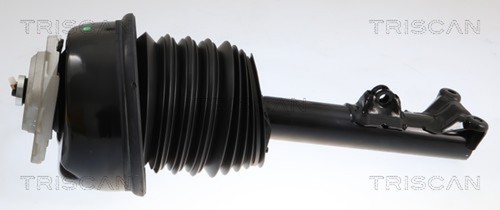 Ammortizzatore pneumatico