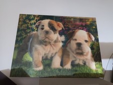 Quadretto cuccioli - 🎁quadretto,