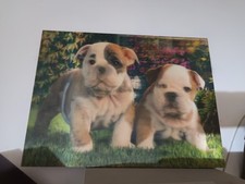 ?QUADRETTO CUCCIOLI AMSTAFF/PITBULL?(pacco b.imbottito + firma)