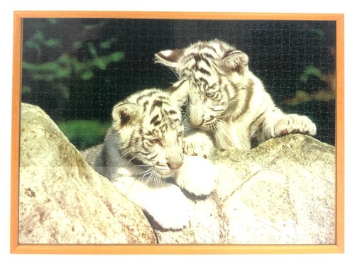Quadro puzzle tigri bianche - tigri,