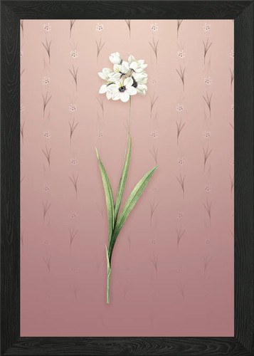 Quadro stampa tela - quadro, poster