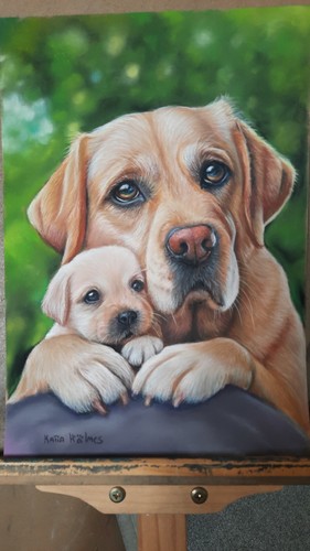 Labrador mum puppy portrait - labrador, &